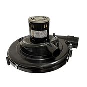 CARRIER/ICP  90+ DRAFT IN